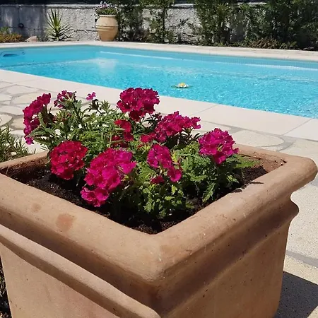 Ponderosa Kefalonia فيلة *