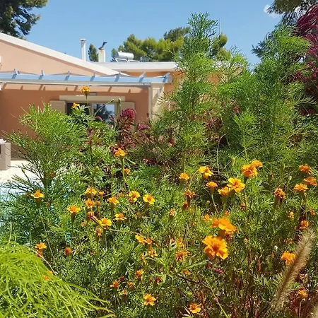 Ponderosa Kefalonia 里科索翁