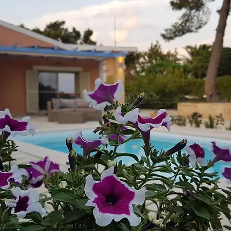 别墅 Ponderosa Kefalonia